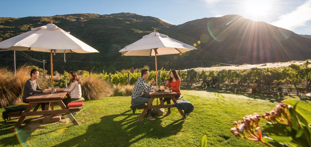 Woodinville Winery Tour Party Bus Rentals