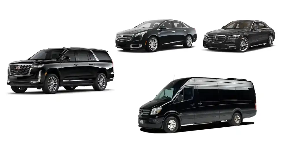 Our luxury fleet
