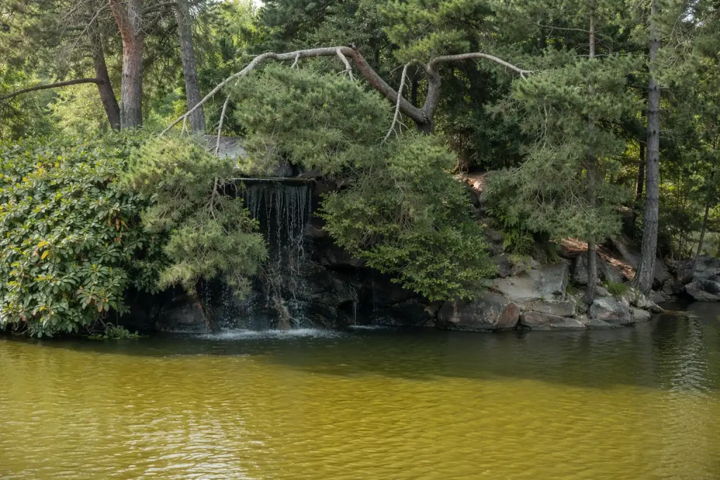 Point Defiance Zoo Tacoma WA