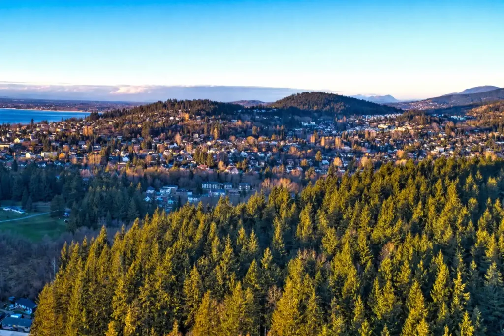 Aerial view of Bellingham business district showing compact downtown layout for multi-stop corporate transportation