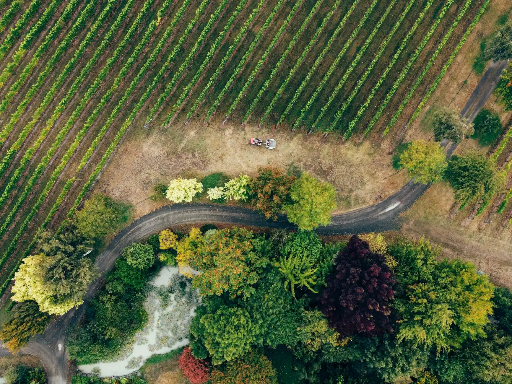 aerial view of Woodinville wine country showing clusters of wineries, tree-lined roads, and parked luxury vehicles on a clear day