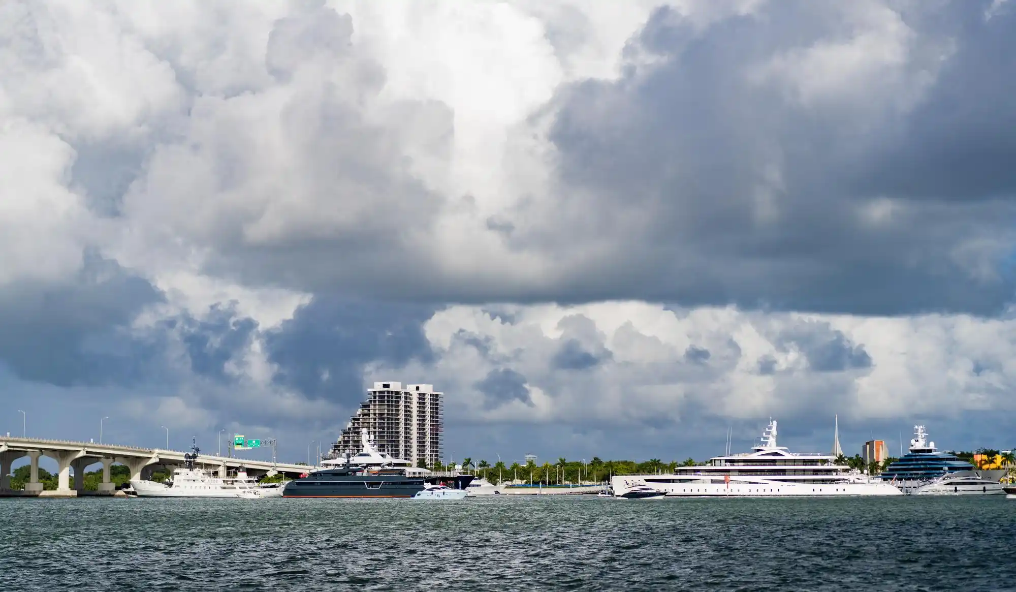 busy Seattle cruise terminal at Pier 91 with passengers rolling suitcases toward black town cars and shuttle vans, overcast waterfront morning, cruise ship towering in background