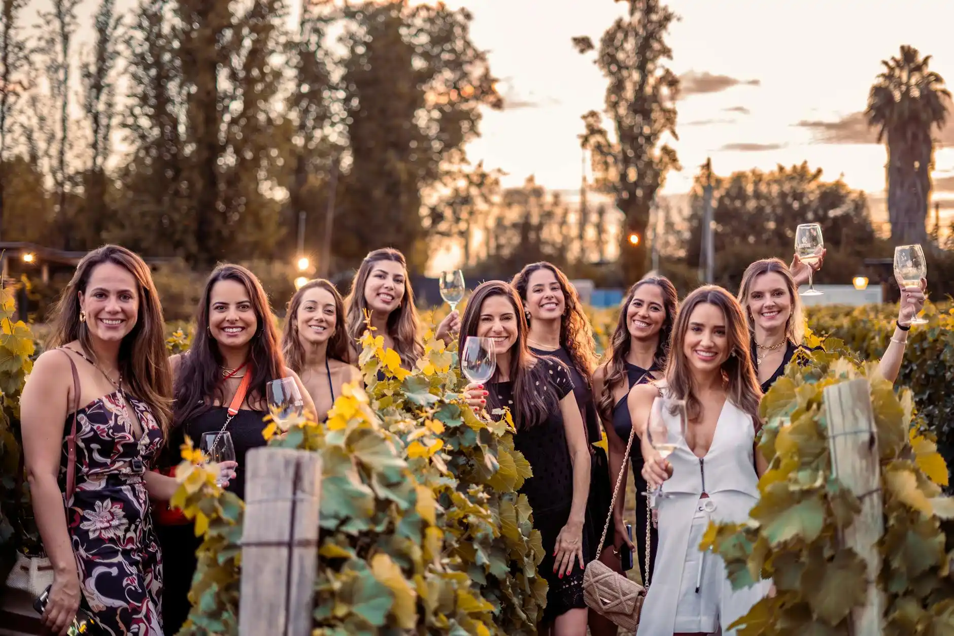 Seattle Wine Tours – Private Tastings & Custom Itineraries