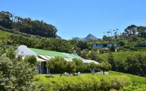 Your Guide To Wine Tasting In Seattle Woodinville