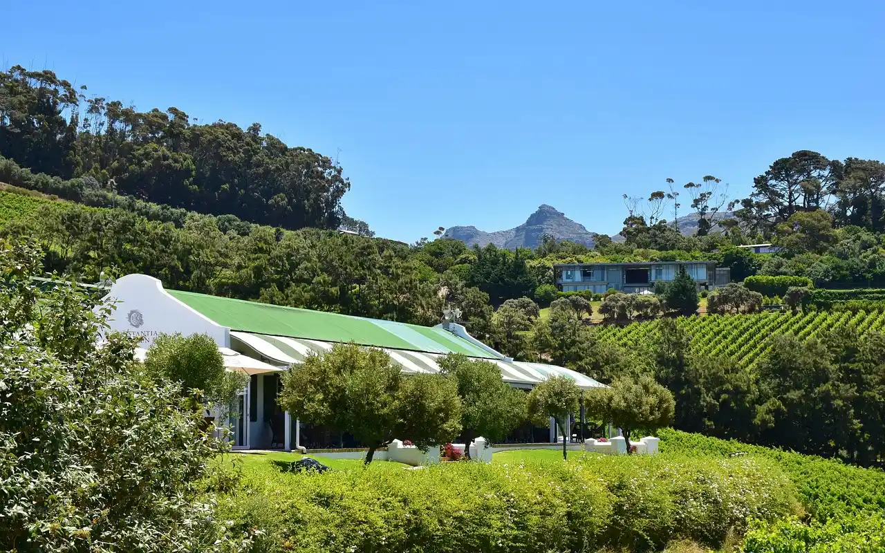 Your Guide To Wine Tasting In Seattle Woodinville