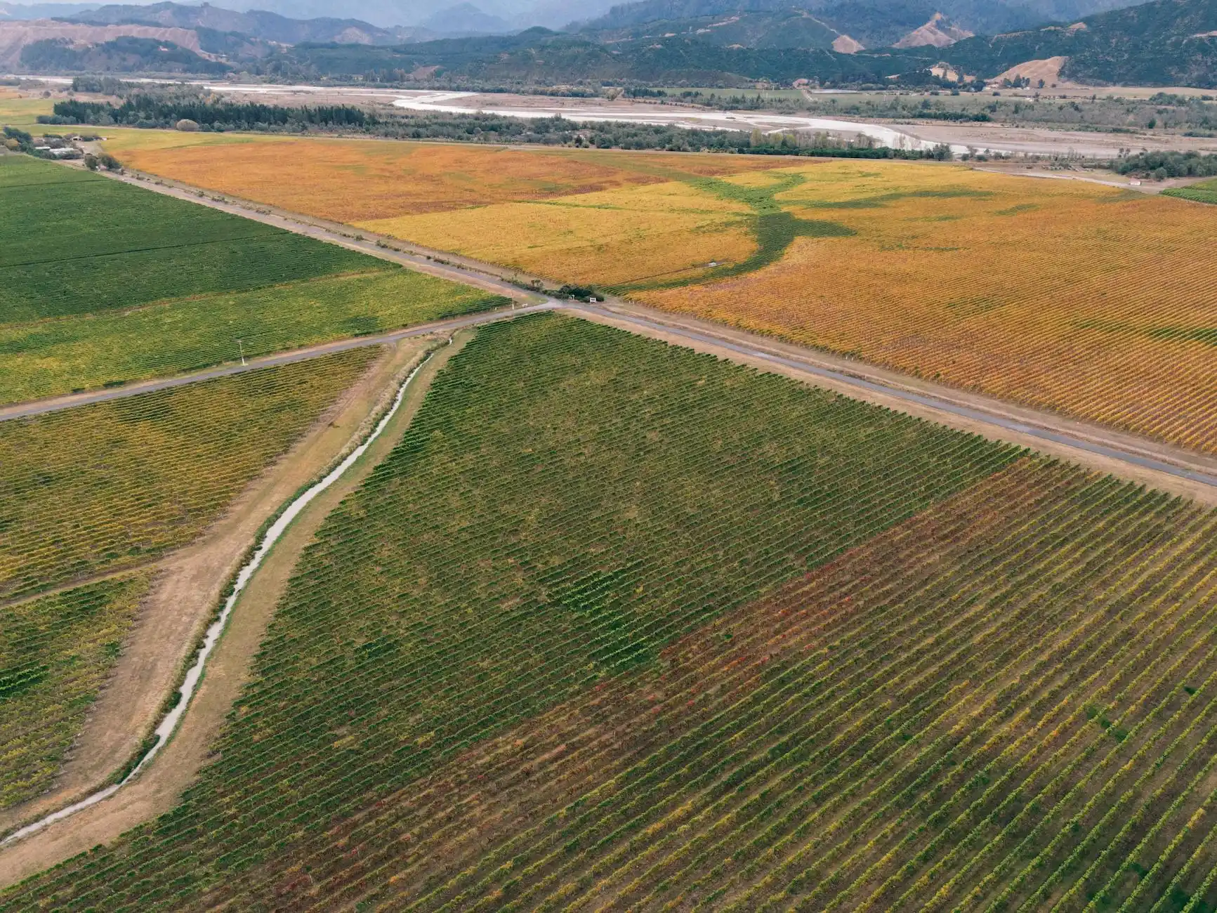 aerial view of Woodinville wine district with multiple tasting rooms, tree-lined roads, black town car in motion, and autumn colors across the landscape