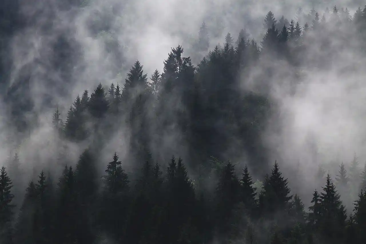 travelers presenting passports at a peaceful border crossing booth with a black executive van waiting nearby, evergreen trees and overcast coastal sky in the background