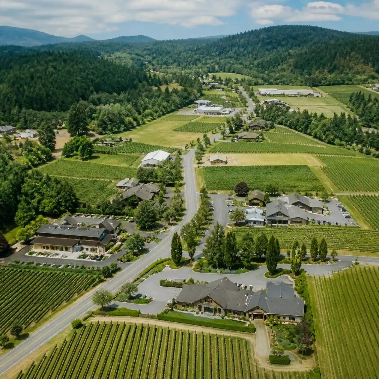 wine tasting Woodinville